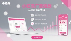 小红书广告投放从0到1的实战课，学完即可开始投放，拒绝无效广告消耗-网创资源