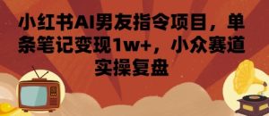 小红书AI男友指令项目，单条笔记变现1w+，小众赛道实操复盘-网创资源