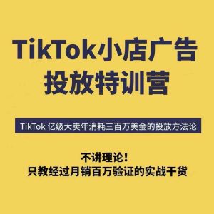 TikTok小店广告投放特训营，6天破局计划专治各种“投不动”，教你经过月销百万验证的实战干货-网创资源