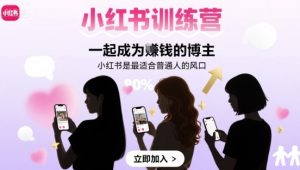 小红书训练营一起成为賺钱的博主，小红书是最适合普通人的风口-网创资源