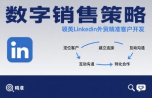 数字销售策略领英LinkedIn外贸精准客户开发-网创资源