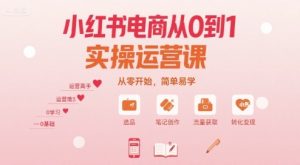 小红书电商从0到1实操运营课，从零开始，简单易学-网创资源