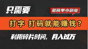 （14673期）只需要打字，打码，就能赚钱？简单的赚钱小副业，利用碎片时间，月入过万-网创资源