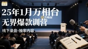 25年1月万相台无界爆款特训营线下录音-网创资源