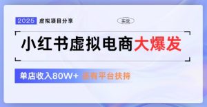 小红书虚拟店铺  蓝海项目  小白轻松一天3张+-网创资源