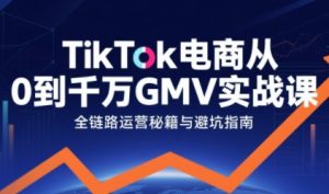 TikTok电商从0到千万GMV实战课，从0到1拆解实战秘籍-网创资源