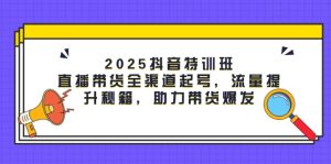 （14620期）2025抖音特训班：直播带货全渠道起号，流量提升秘籍，助力带货爆发-网创资源