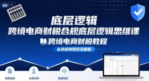 跨境电商财稅合规底层逻辑思维课-跨境电商财税教程-网创资源