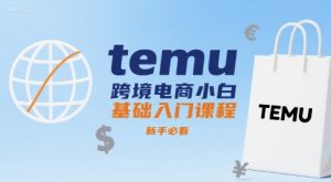 temu跨境电商小白基础入门课程，新手必看-网创资源