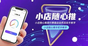 小店随心推微付费撬动自然流投手教学，小店随心推手把手教学-网创资源