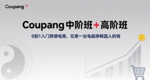 Coupang中阶班+高阶班，0到1入门跨境电商，在家一台电脑挣韩国人的钱-网创资源