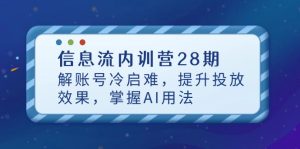 （14535期）信息流内训营28期，解账号冷启难，提升投放效果，掌握AI用法-网创资源