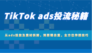 TikTok ads投流秘籍：从ads投放及素材拆解，到剪辑去重，全方位传授技巧-网创资源