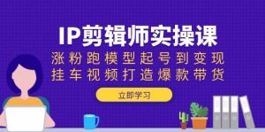IP剪辑师实操课：涨粉跑模型起号到变现，挂车视频打造爆款带货-网创资源
