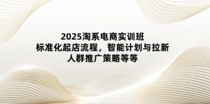 （14522期）2025淘系电商实训班：标准化起店流程，智能计划与拉新，人群推广策略等等-网创资源