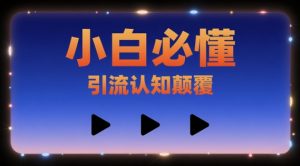 小白必懂，引流认知颠覆，三个视频讲透-网创资源