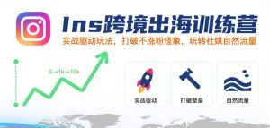 Ins跨境出海训练营，实战驱动玩法，打破不涨粉怪象，玩转社媒自然流量-网创资源
