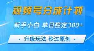 视频号分成计划5.0，升级玩法秒过原创，新手小白单日稳定变现3张-网创资源