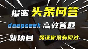 （14480期）头条问答，刚出的新玩法！保证你没见过！用DeepSeek去高效答题，一个账…-网创资源