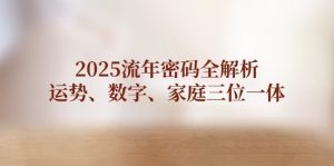 （14466期）2025流年密码全解析，运势、数字、家庭三位一体-网创资源