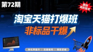 淘宝天猫打爆班原创高阶技术第72期，非标品干爆-网创资源