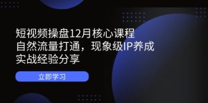 （14447期）短视频操盘12月核心课程：自然流量打通，现象级IP养成，实战经验分享-网创资源