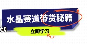（14406期）水晶赛道带货秘籍，国学结合、短视频起号、拍摄技巧、直播话术等内容-网创资源