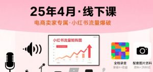 小红书25年4月线下课程，电商卖家小红书流量课，录音+图片-网创资源