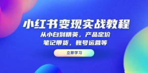 小红书变现实战教程：从小白到精英，产品定价，笔记带货，账号运营等-网创资源