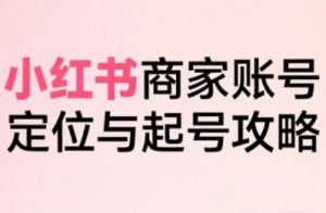 小红书电商全链路实战从定位到爆单，系统拆解小红书商家起号全流程-网创资源