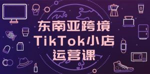 （14390期）东南亚跨境TikTok小店运营课，掌握店铺设置与流量转化核心技巧-网创资源