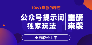 （14364期）公众号提示词玩法，10W+爆文最简单快速的方法，小白轻松上手-网创资源