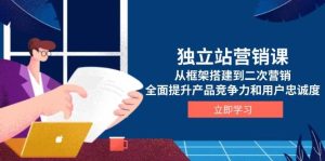 独立站营销课，从框架搭建到二次营销，全面提升产品竞争力和用户忠诚度-网创资源