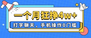 （14340期）一个月狂挣4w+，打字聊天，手机操作0门槛，新手小白都能做！-网创资源