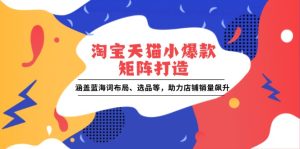 淘宝天猫小爆款矩阵打造：涵盖蓝海词布局、选品等，助力店铺销量飙升-网创资源