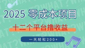 （14302期）2025年零成本项目，十二个平台撸收益，单号一天轻松200+-网创资源