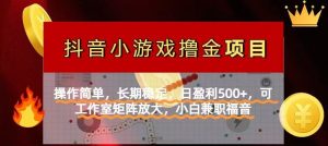 （14290期）【抖音小游戏发行人计划项目】操作简单，长期稳定，日盈利500+，可工作…-网创资源