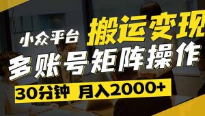 （14288期）得物平台变现新蓝海！无脑复制热门视频，多账号同步运营，每天半小时躺…-网创资源