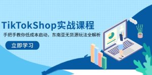 （14269期）TikTokShop实战课程，手把手教你低成本启动，东南亚无货源玩法全解析-网创资源