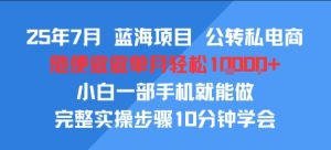 25年7月蓝海项目，公转私电商，随便做做单月轻松1w，小白一部手机就能做，完整实操步骤10分钟学会-网创资源