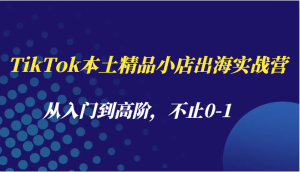 TikTok本土精品小店出海实战营，从入门到高阶，不止0-1-网创资源