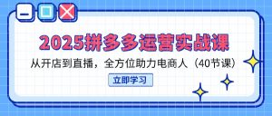 （14259期）2025拼多多运营实战课，从开店到直播，全方位助力电商人（40节课）-网创资源