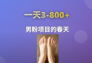 AI一键生成美女素材，一天收益3-8张，男粉项目的春天-网创资源
