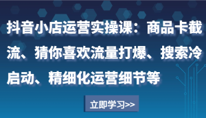 抖音小店运营实操课：商品卡截流、猜你喜欢流量打爆、搜索冷启动、精细化运营细节等-网创资源