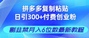 （14232期）拼多多复制粘贴日引300+付费创业粉，割韭菜月入6位数最新教程！-网创资源