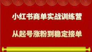 京东短视频带货 2025新风口 批量搬运 单号月入过万 上不封顶-网创资源