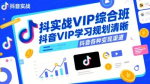 抖音实战VIP综合班，抖音VIP学习规划请晰抖音各种变现渠道-网创资源