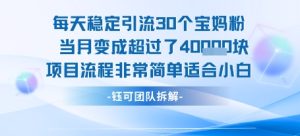 每天稳定引流30个人 当月变成超过了4个W项目流程非常简单适合小白-网创资源