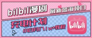 最新蓝海项目，B站充电计划，小白也能月入1w+-网创资源