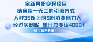 全新男粉变现项目引流人群35以上的男粉消费能力大 经过实测单日变现1k+-网创资源